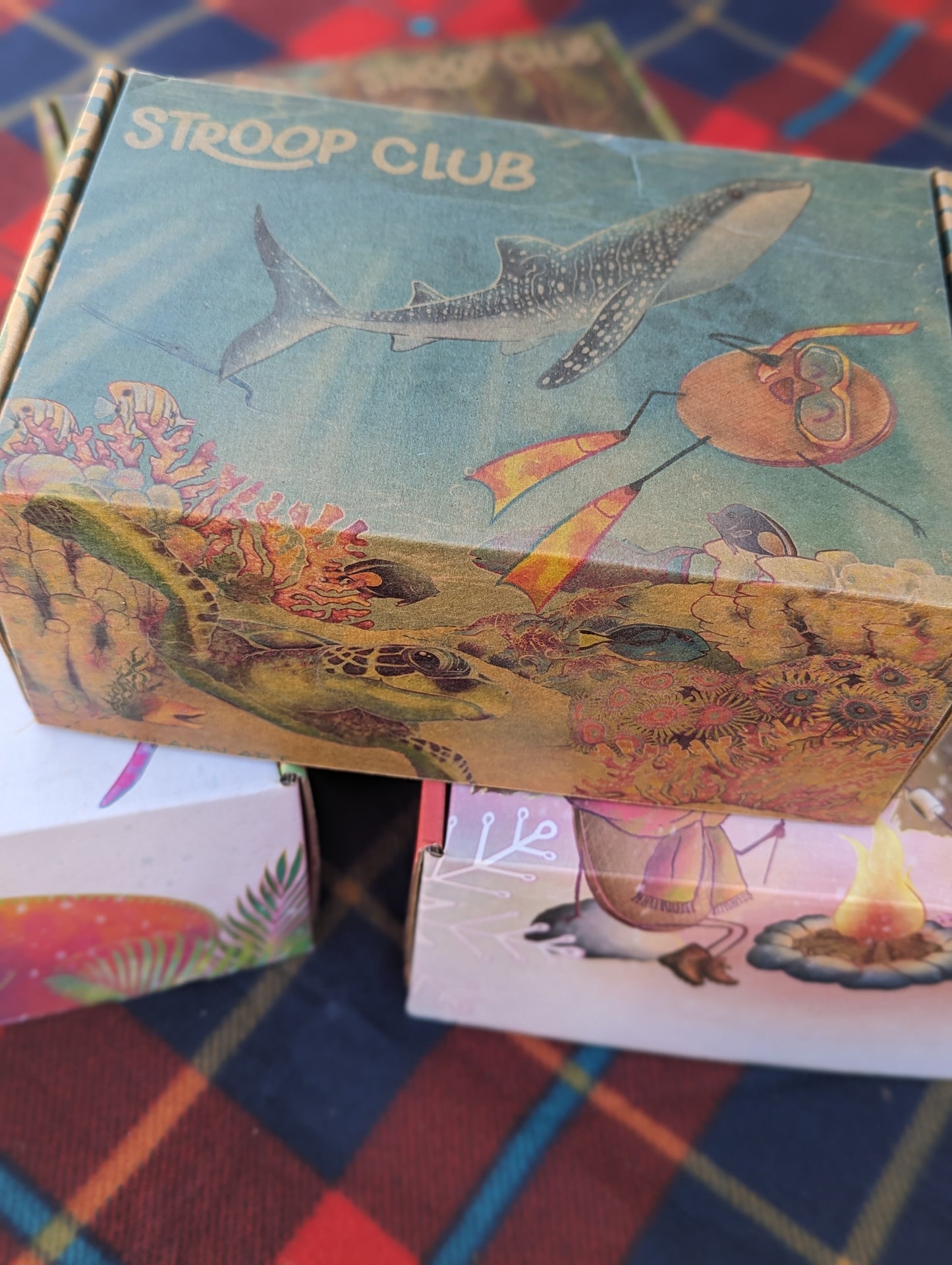 Photo of ocean themed gift box